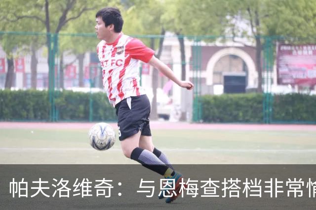 帕夫洛维奇：与恩梅查搭档非常愉快，诺伊尔对我帮助巨大